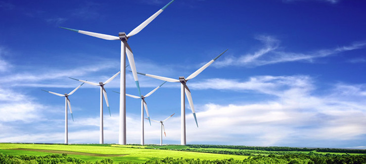 Wind farm with wind turbine generators